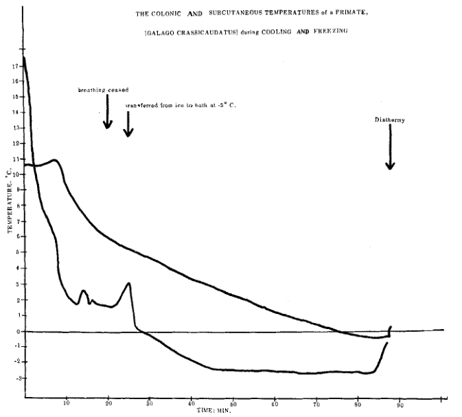 Ликбез по Крионике: простым языком на сложную тему - 7